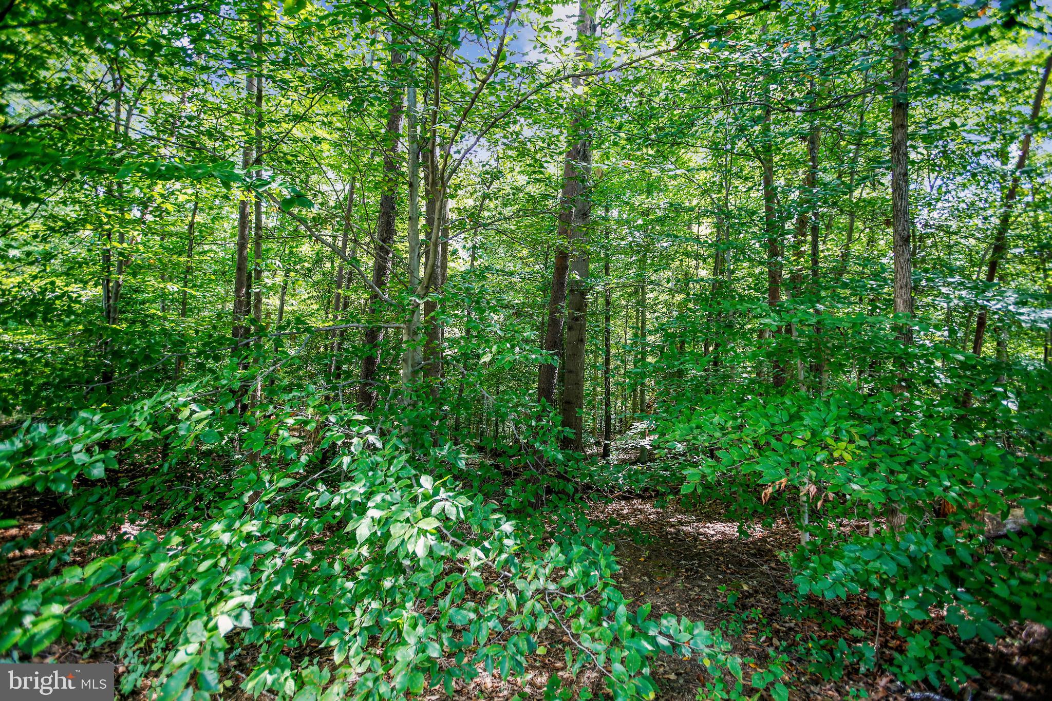 ROLLINGWOOD VILLAGE - Residential