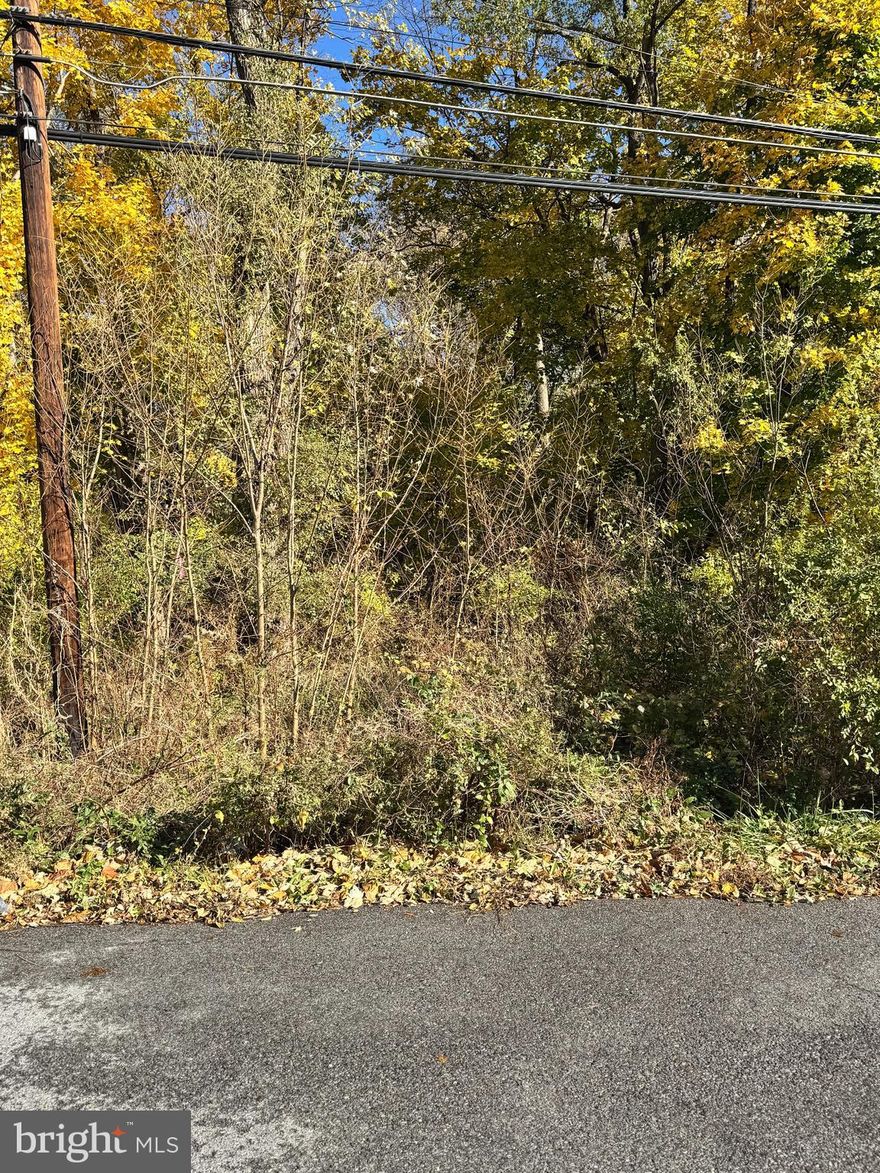 Discover the perfect place to build your dream home on Lot 75 Rothwell Avenue in the heart of Martinsburg! This spacious lot offers a peaceful neighborhood setting with convenient access to shopping, schools, and commuter routes. Enjoy the charm of small-town living with all the modern amenities nearby. Whether you’re looking to invest or create a custom home, this property offers endless potential in a growing community. Don’t miss this opportunity to own a piece of Martinsburg’s future!