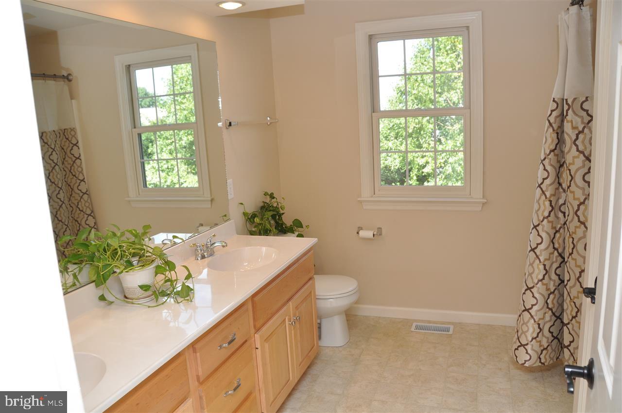 CHESTNUT RIDGE - Residential