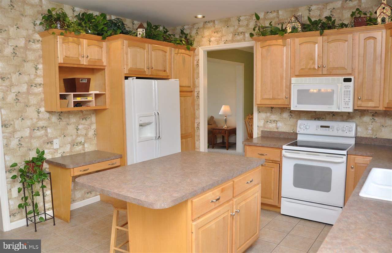 CHESTNUT RIDGE - Residential