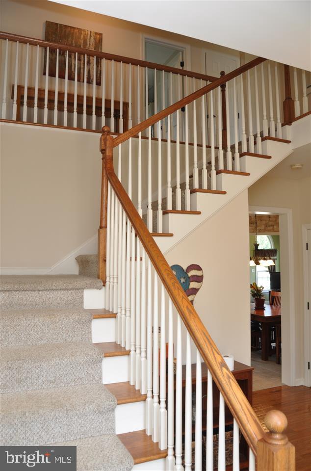 CHESTNUT RIDGE - Residential