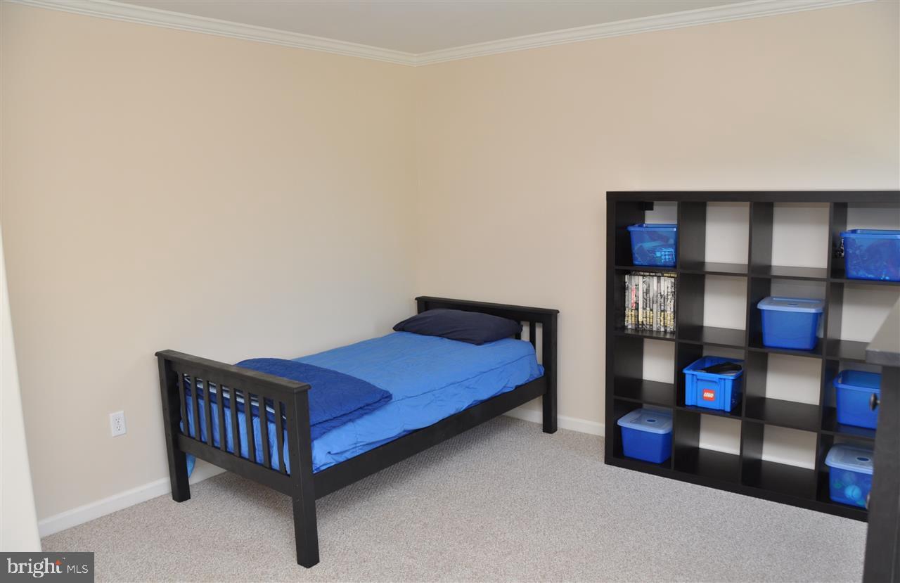 CHESTNUT RIDGE - Residential