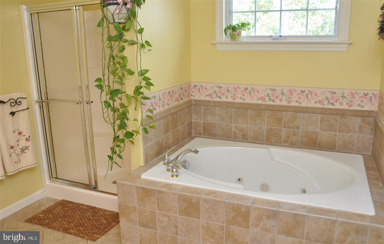 CHESTNUT RIDGE - Residential