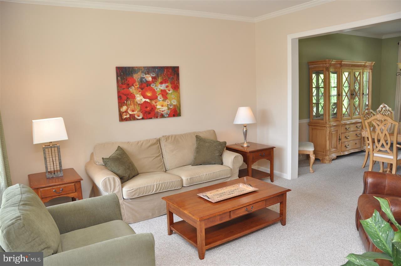 CHESTNUT RIDGE - Residential