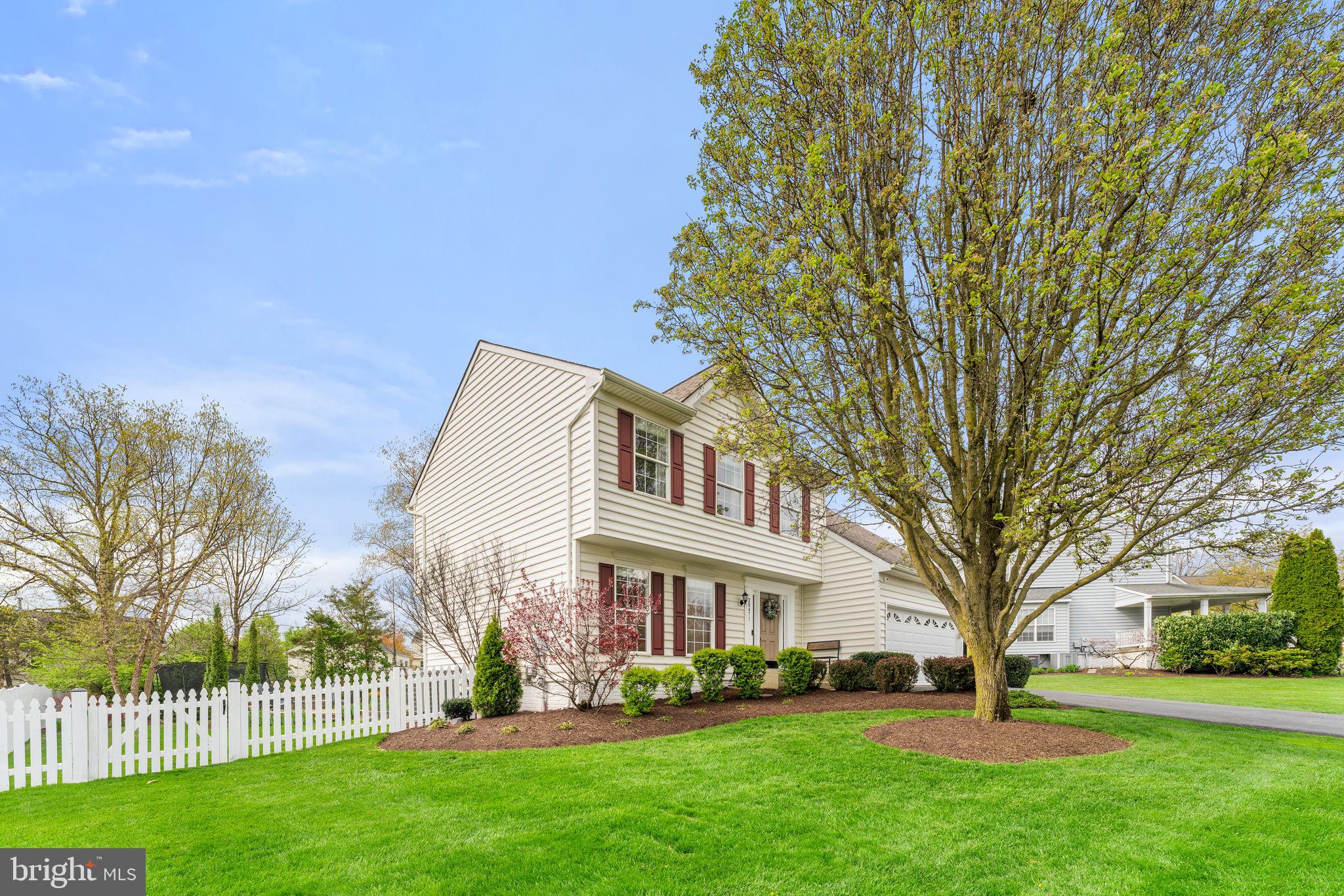 BELMONT GREENE - Residential