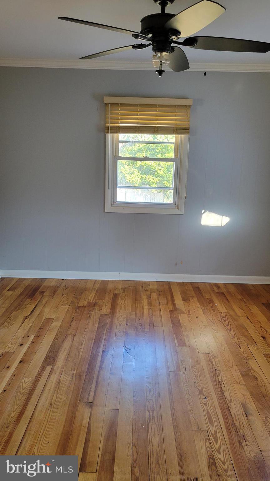 TALBOT PARK - Residential