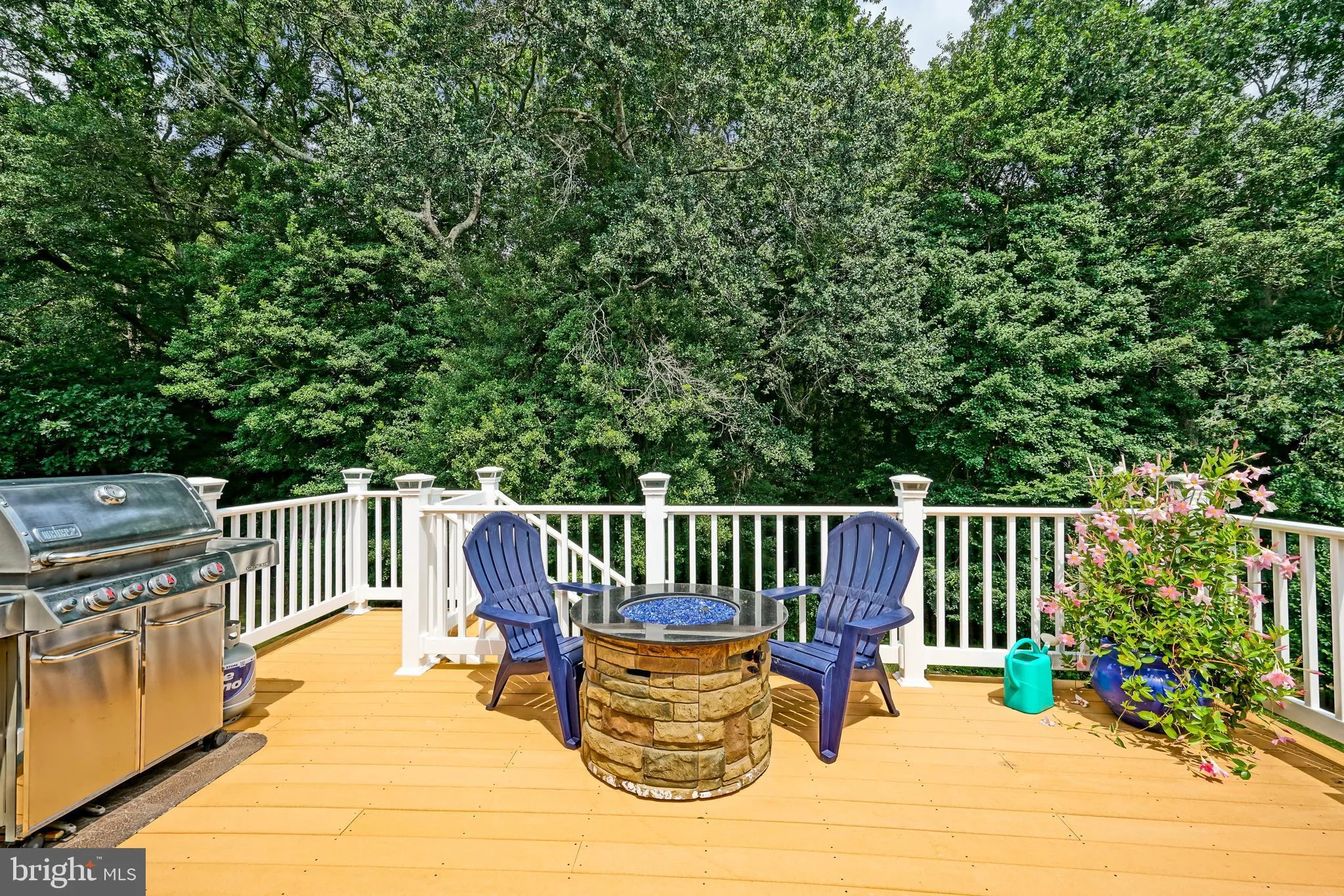 Harbeson, Delaware 19951, United States, 4 Bedrooms Bedrooms, ,4 BathroomsBathrooms,Residential,Contingent,202890