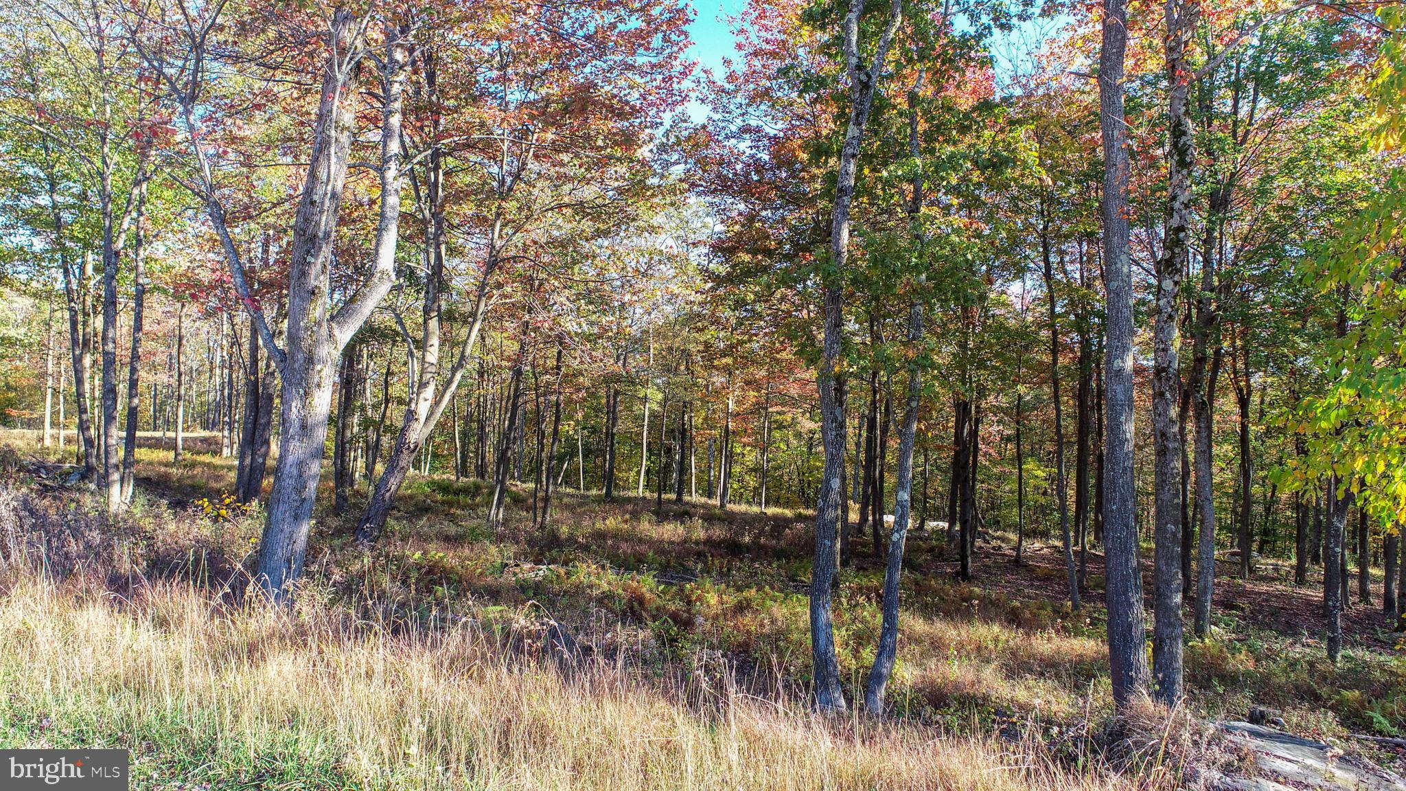 157 FORK RUN TRAIL