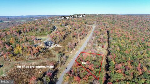 Vacant Land For Sale - 157 Fork Run Trail<br/> MC HENRY, MD 21541