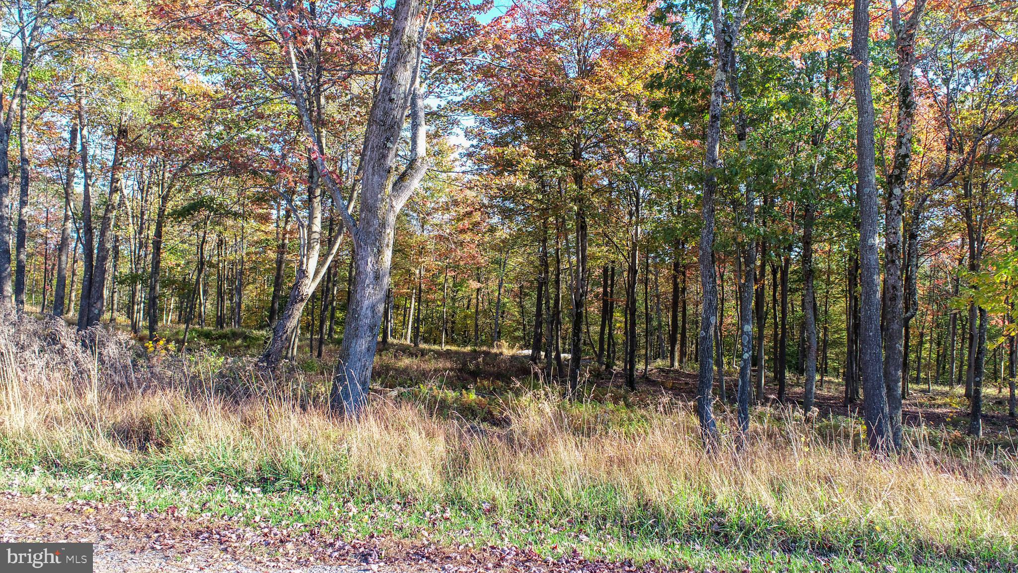 157 FORK RUN TRAIL