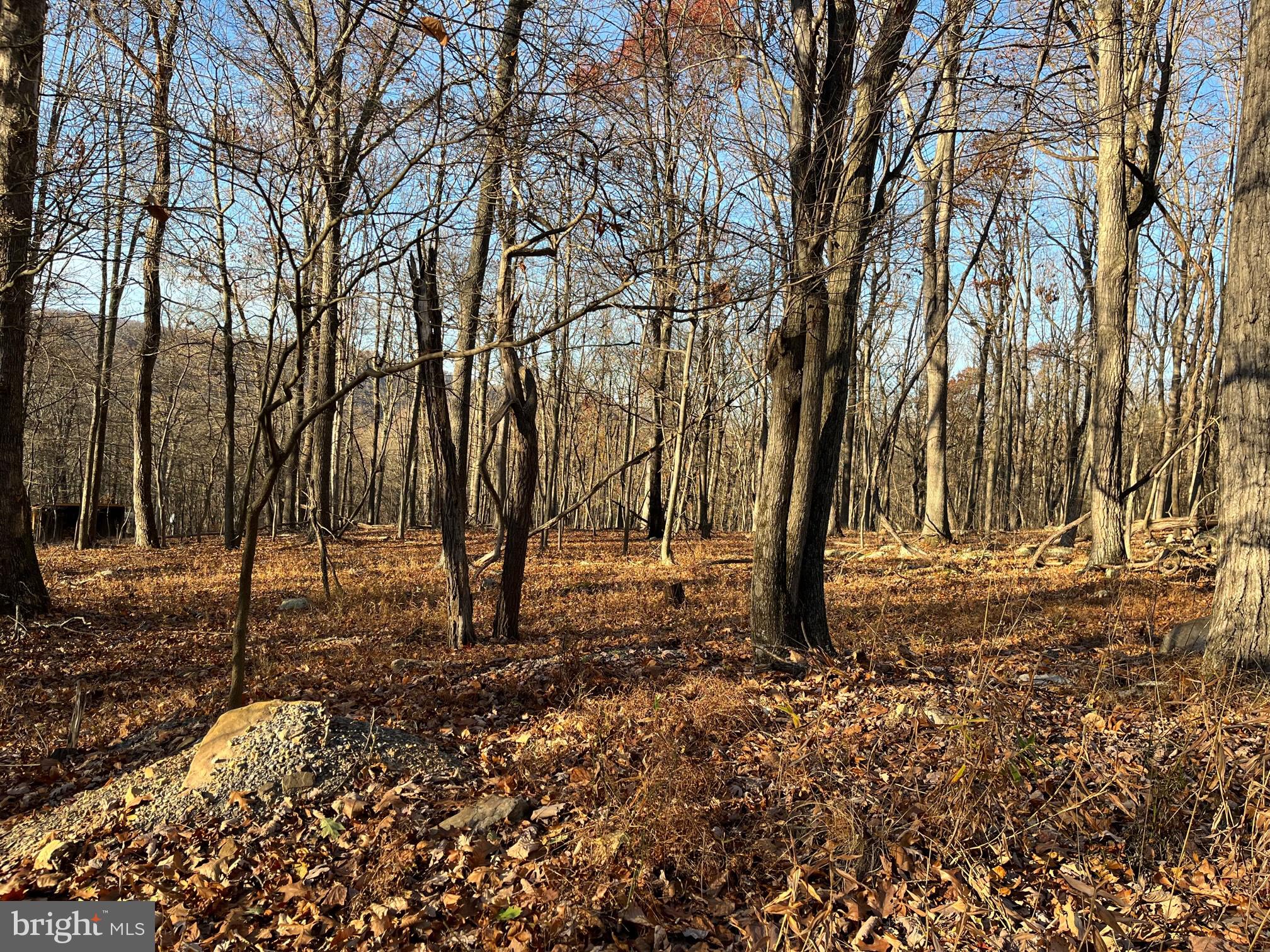 CAPON RIVER VISTA - Land
