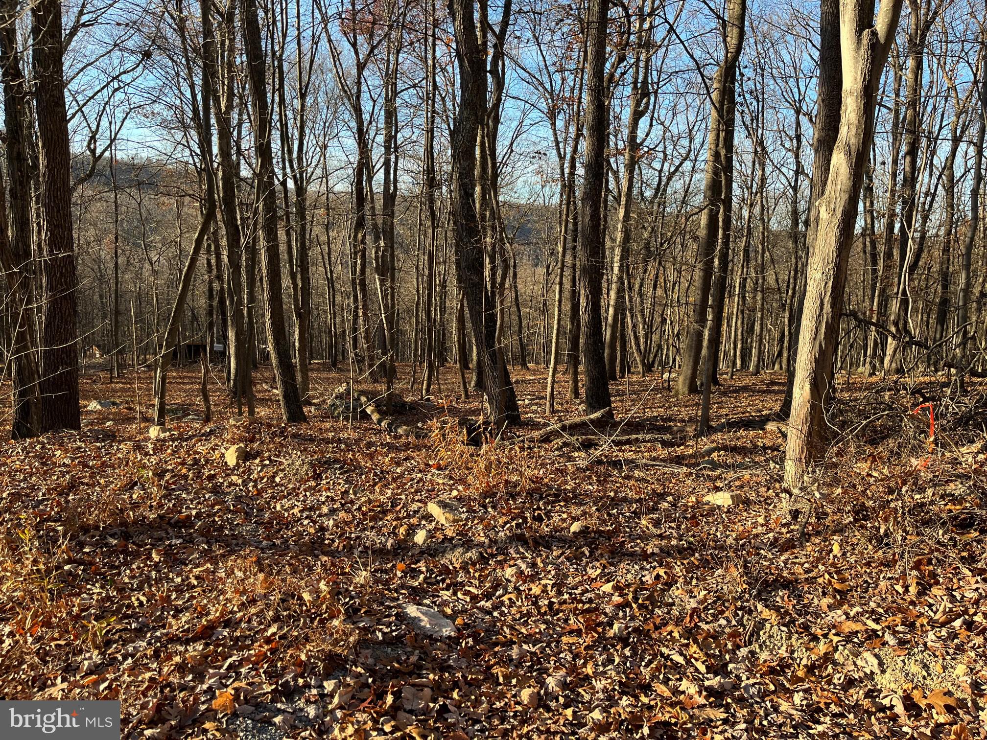 CAPON RIVER VISTA - Land