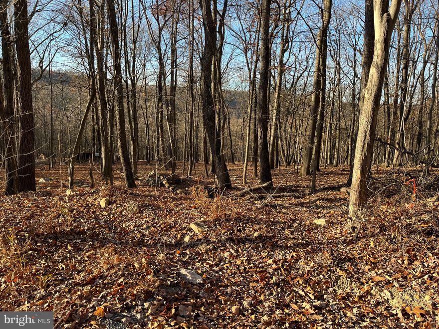 Located 12 M from Berkeley Springs, this 5 acre wooded lot would be a perfect location to build your weekend retreat.   Limited winter views with community access to the Cacapon River 5/10 M .  Enjoy peaceful summer days on the river in your canoe, kayak or inner tube with your fishing pole,