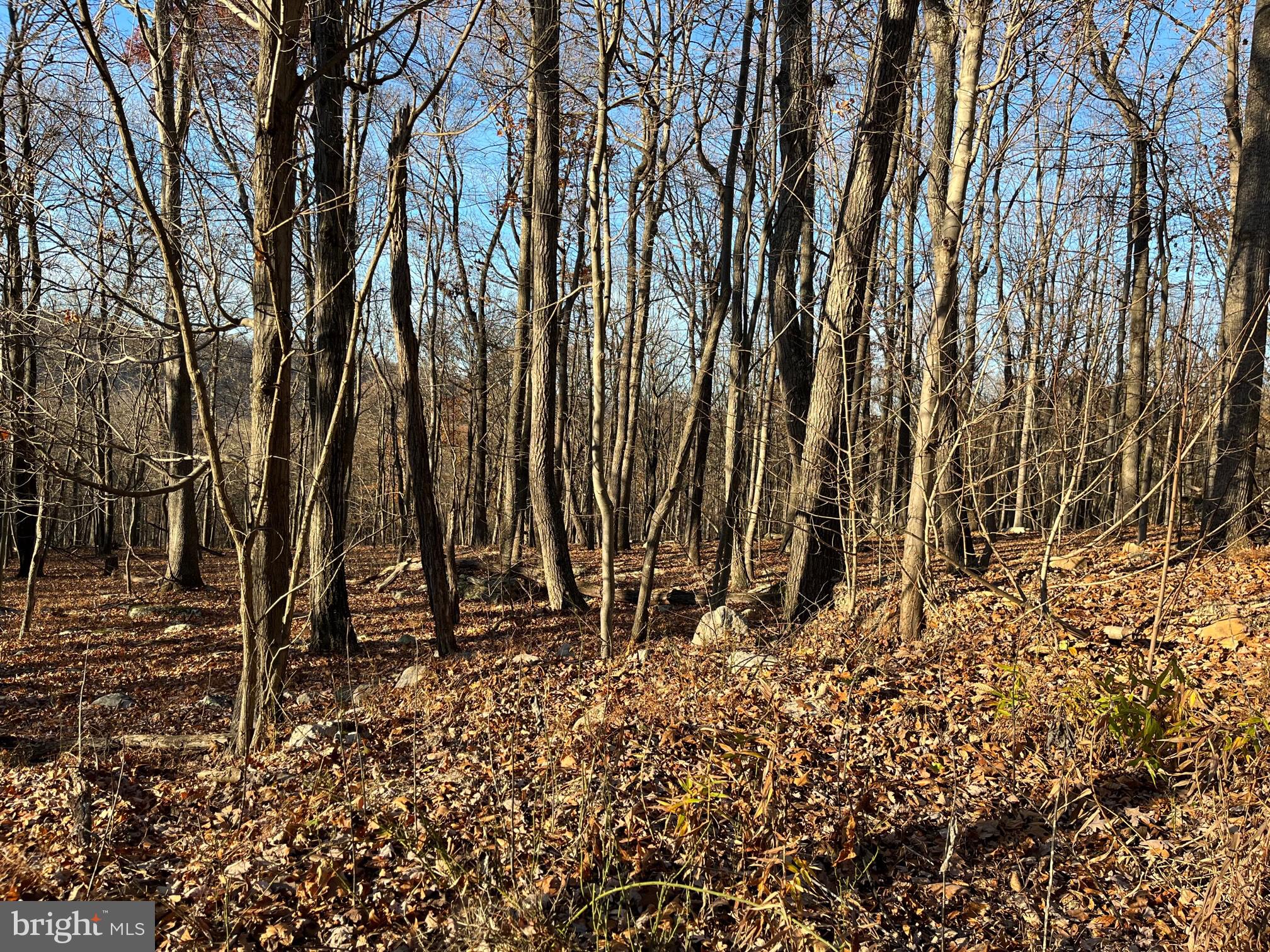 CAPON RIVER VISTA - Land