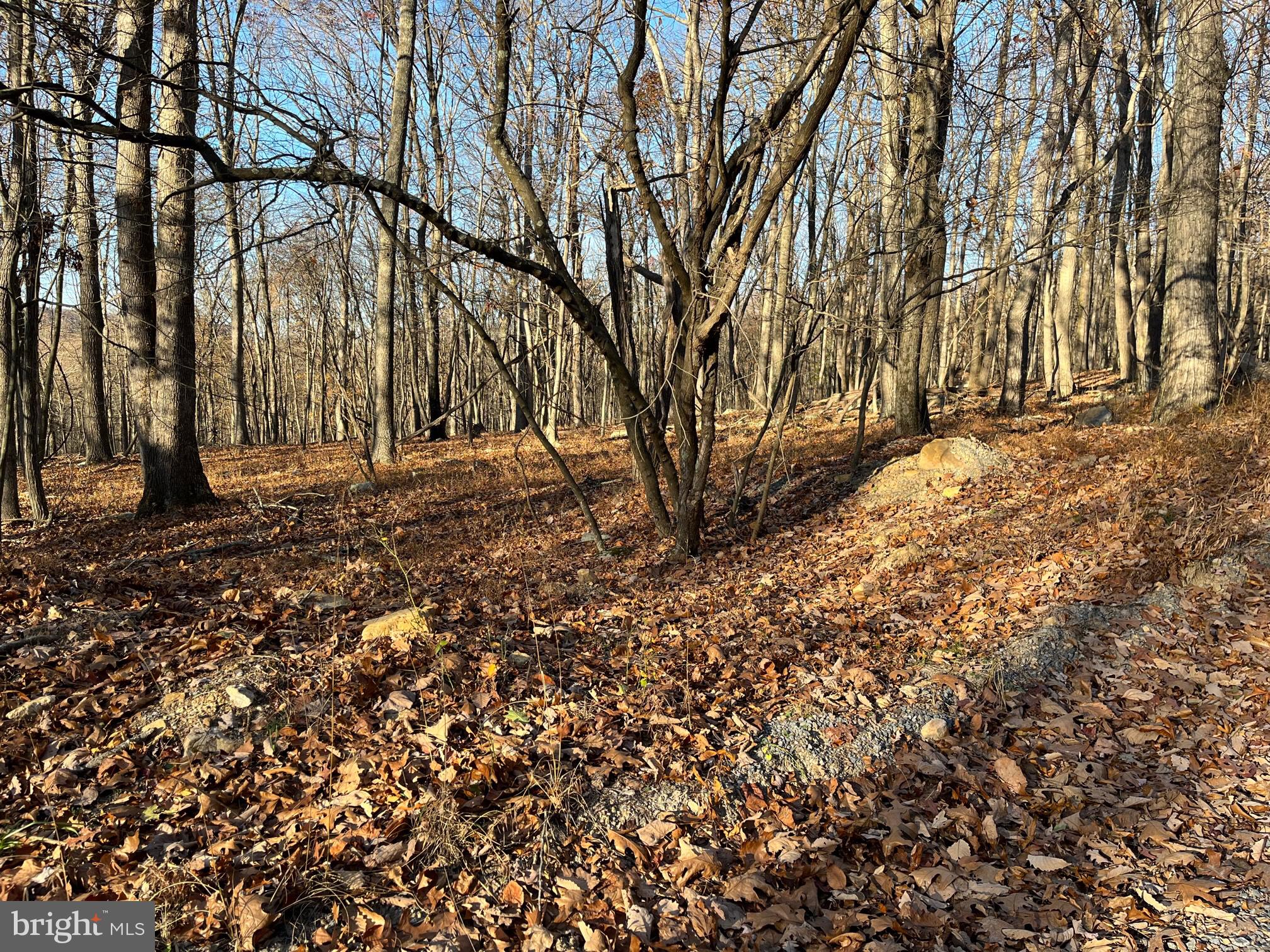 CAPON RIVER VISTA - Land