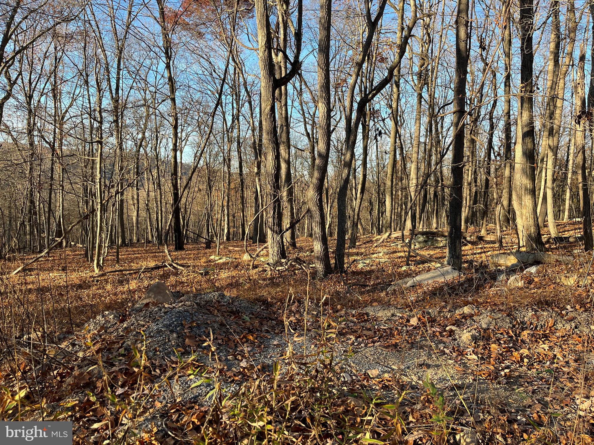 CAPON RIVER VISTA - Land