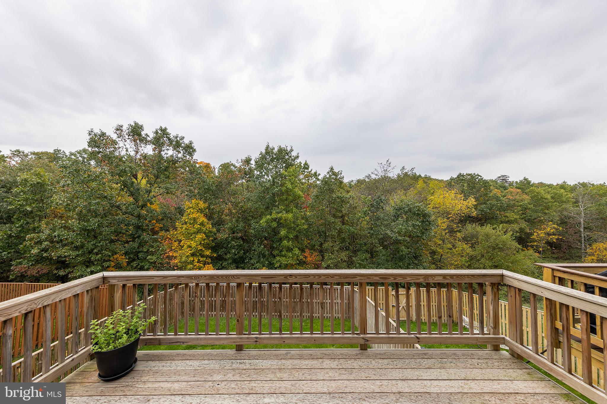 SNOWDEN BRIDGE - Residential