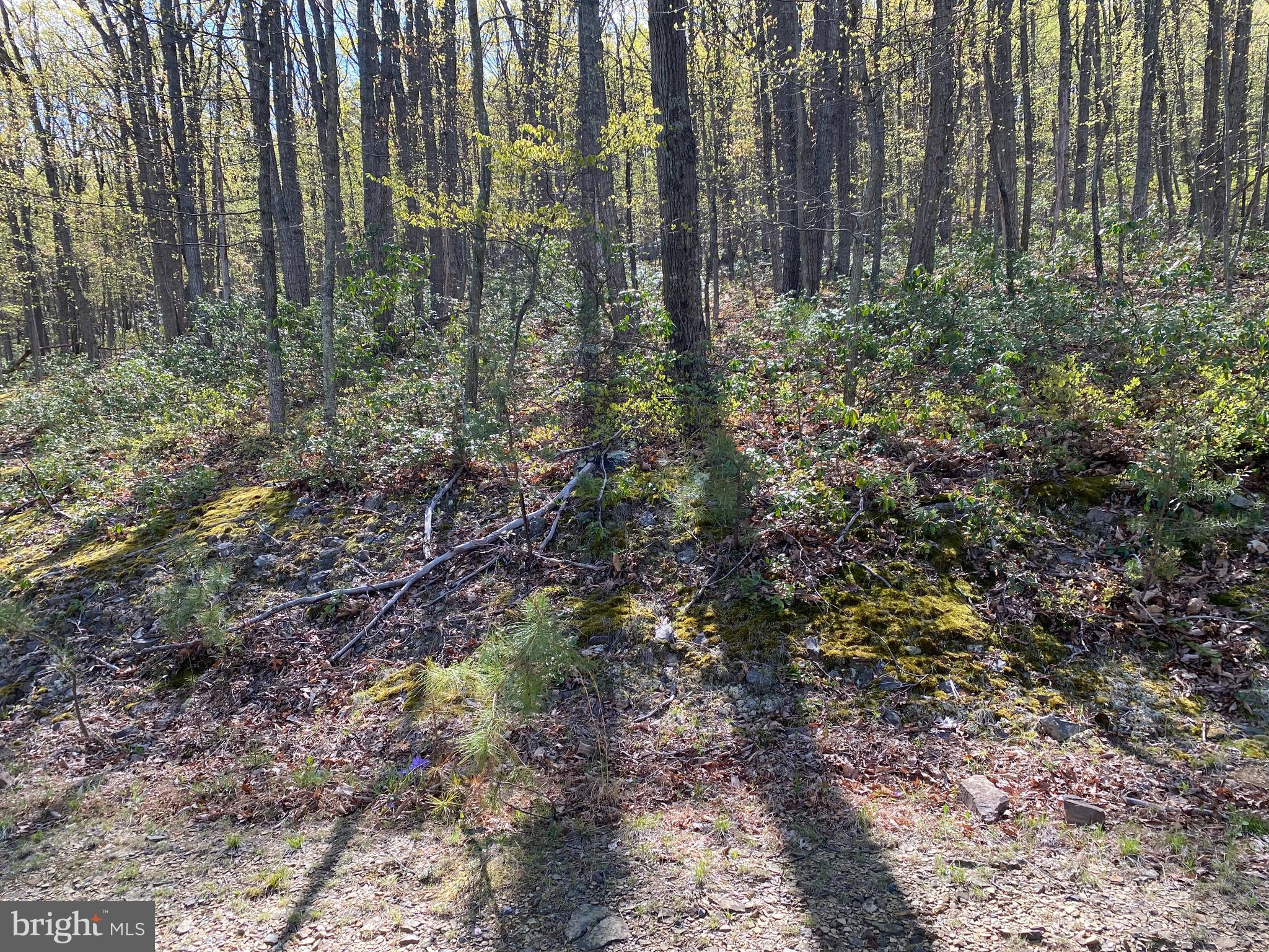 LOST RIVER GLEN - Land