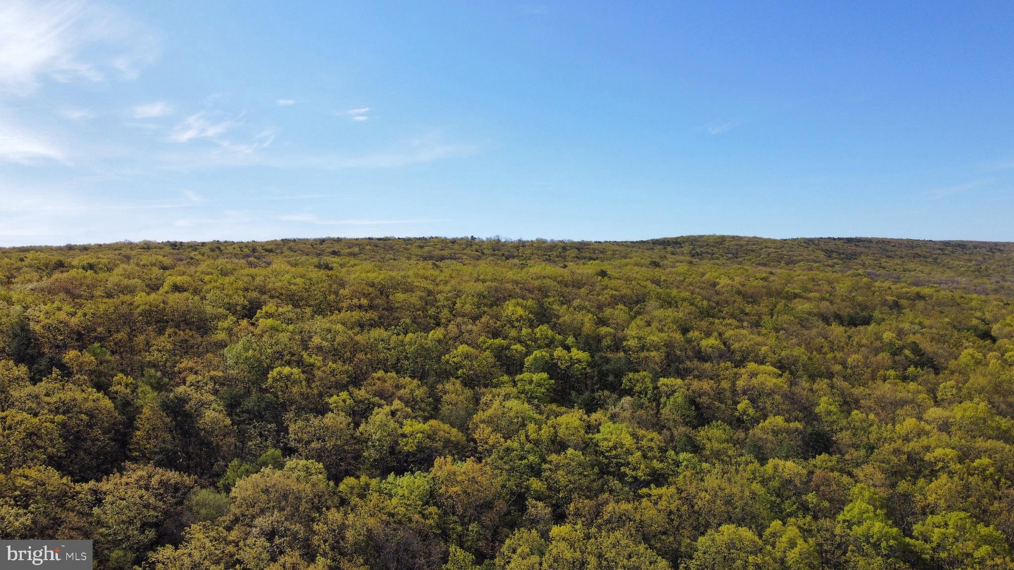 LOST RIVER GLEN - Land