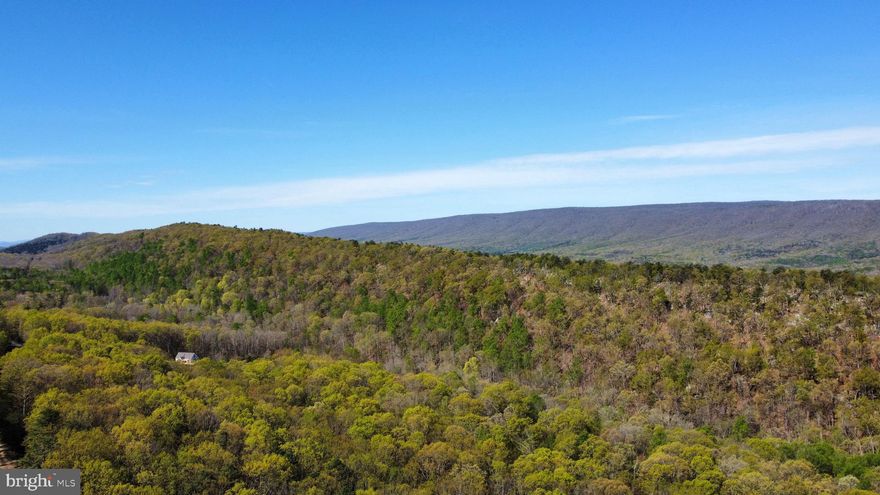 Build your weekend cabin or your forever home on this 15 acre lot.  You will be tucked away in  Wild and Wonderful West Virginia. Enjoy the peace and quiet of nature, but just be minutes from farmer's market, restaurants, shopping, bakery, and charming little shops. Visit the recreational sites at George Washington National Forest, Trout Pond and Warden Lake, Kimsey's Run, Big Schloss and more. If you need a place to get away, this is it! Schedule your viewing today!