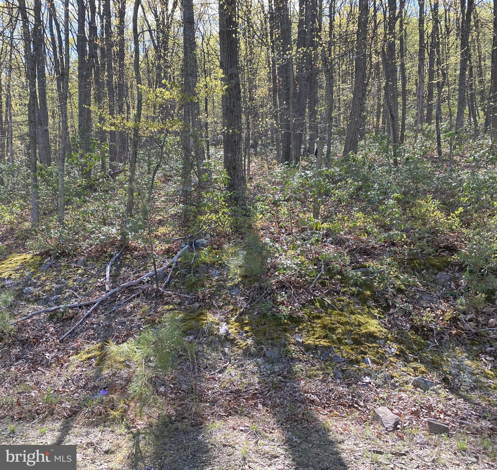 LOST RIVER GLEN - Land