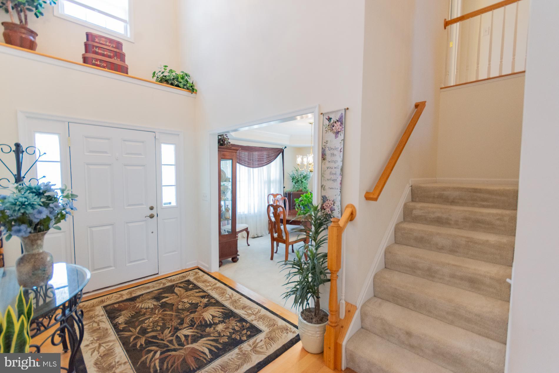 WEBBER SPRINGS - Residential