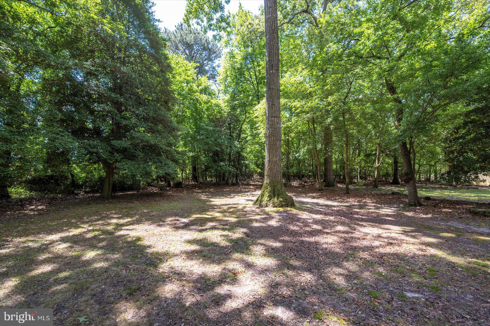 CANTERBURY - Residential