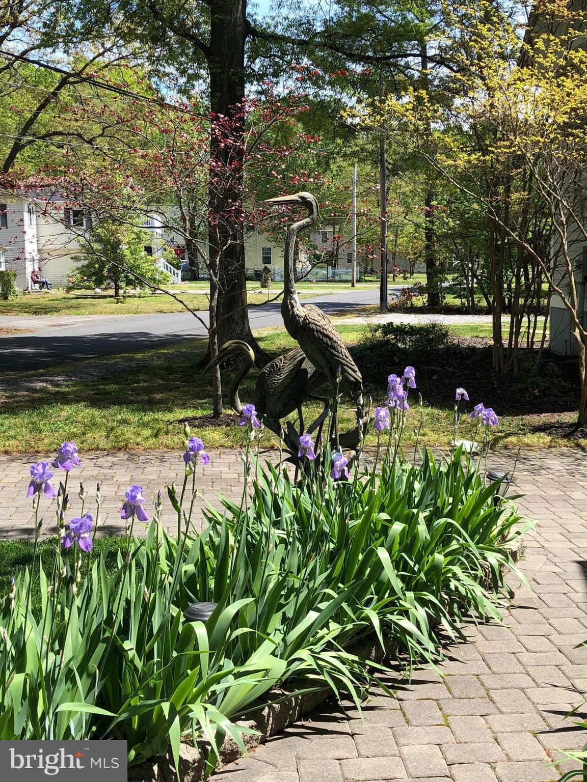 COBB ISLAND - Residential