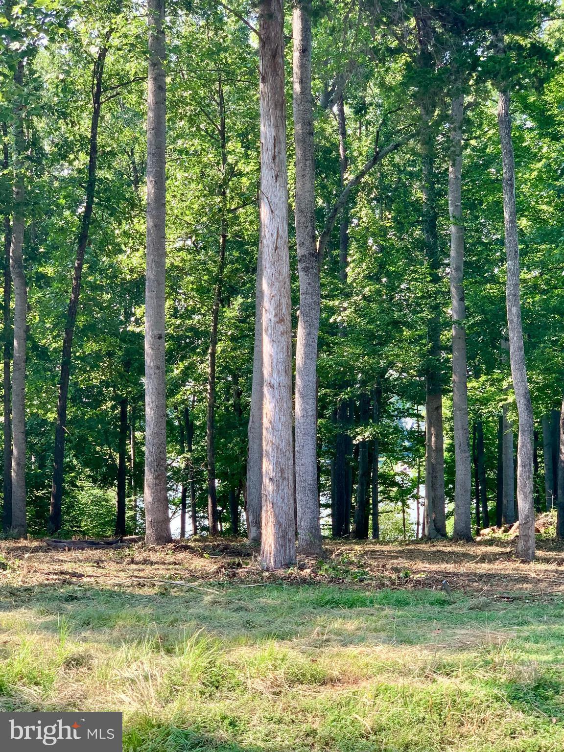 WOODLAND SHORES - Land