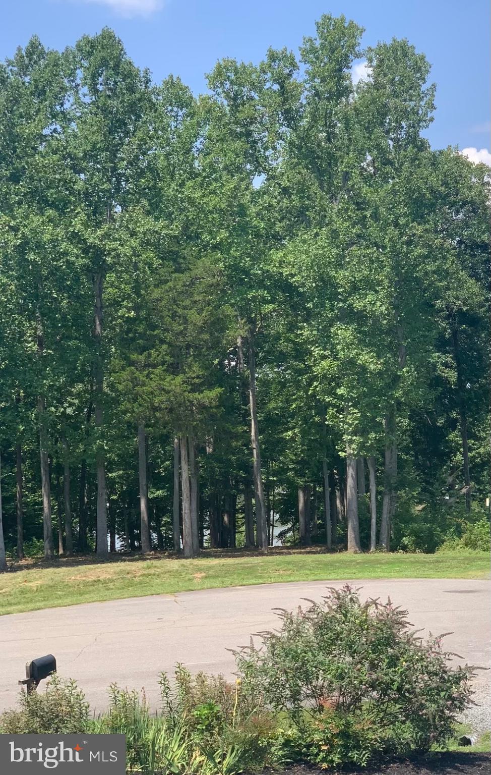 WOODLAND SHORES - Land