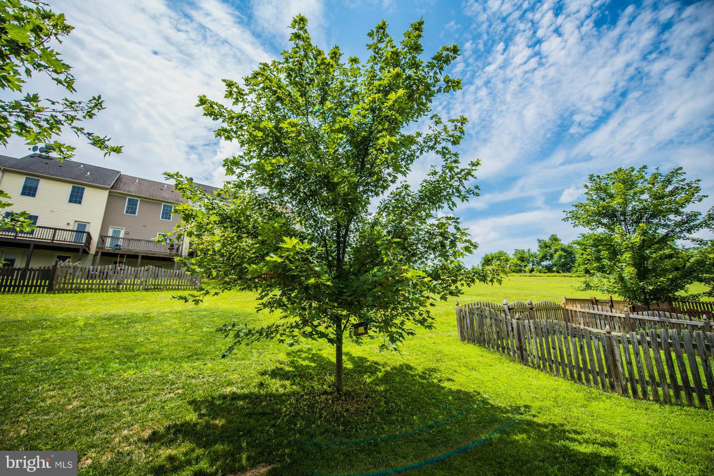 HAMMONDS MILL - Residential