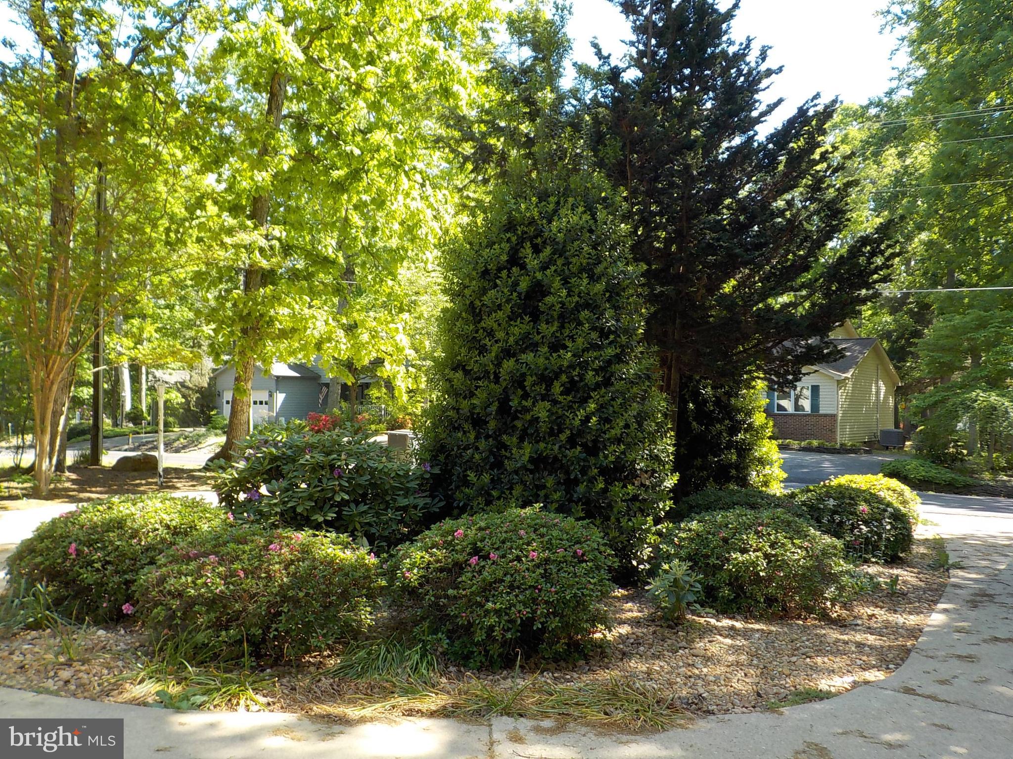 LAKE OF THE WOODS - Residential