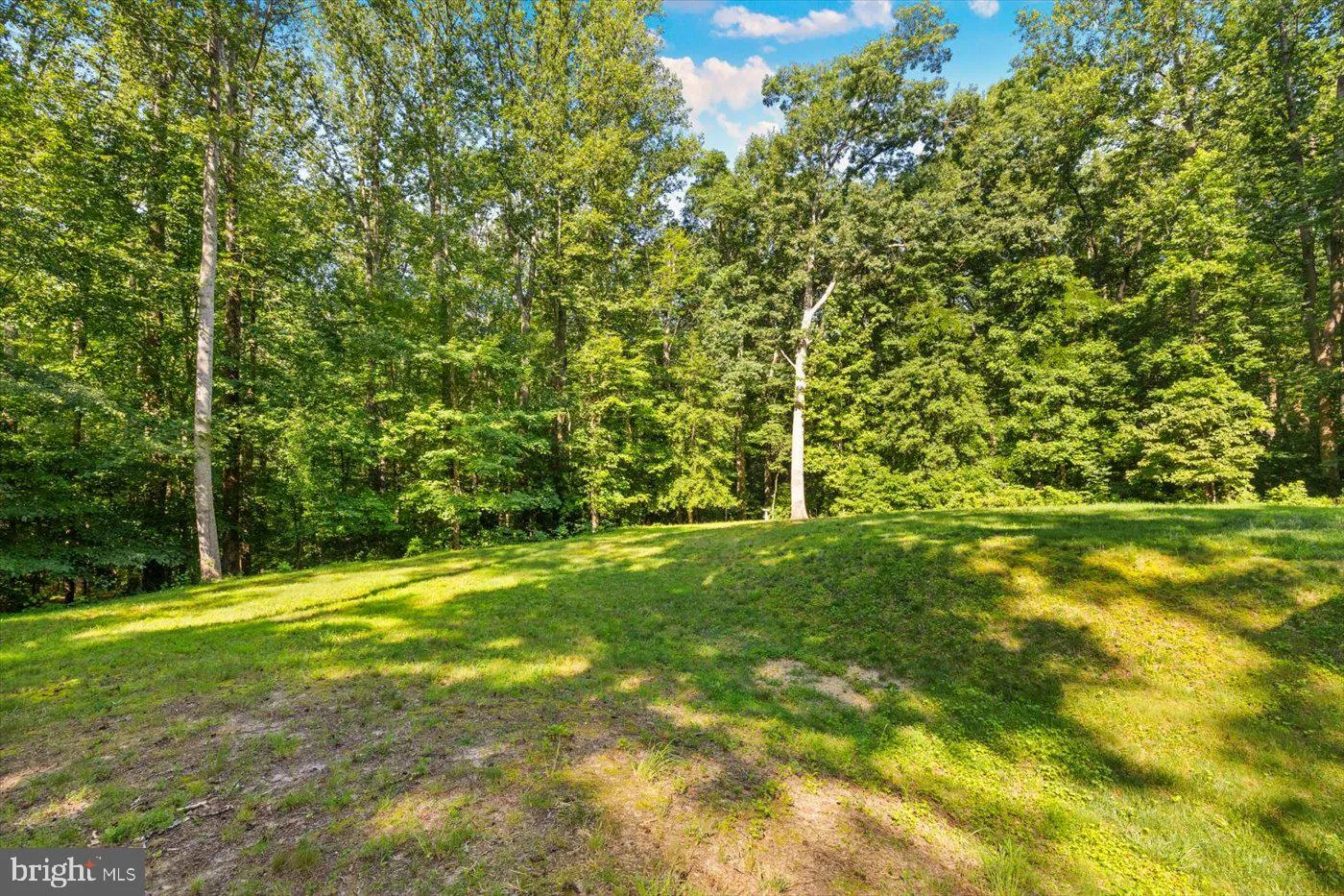 Montross, Virginia 22520, United States, 4 Bedrooms Bedrooms, ,3 BathroomsBathrooms,Residential,Active,198701