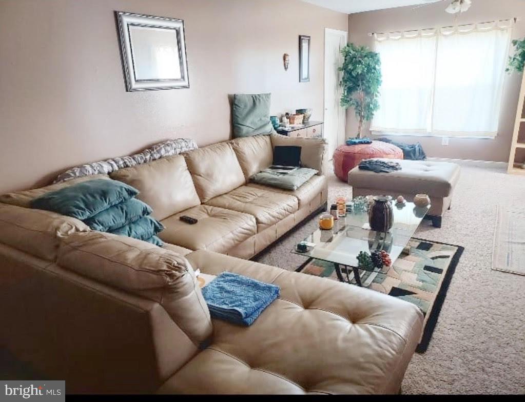 6510 LAKE PARK DRIVE 204