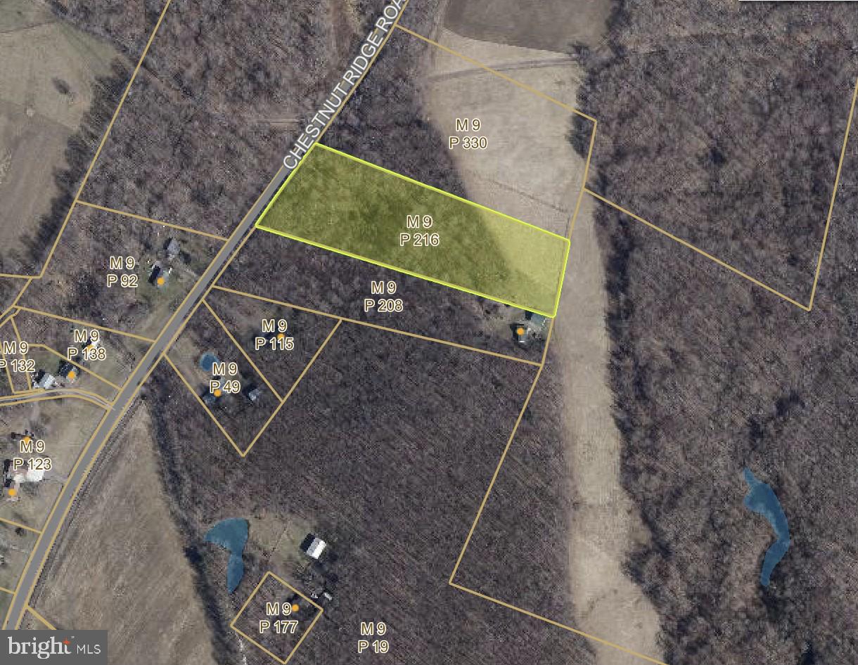 5 ACRES CHESTNUT RIDGE ROAD