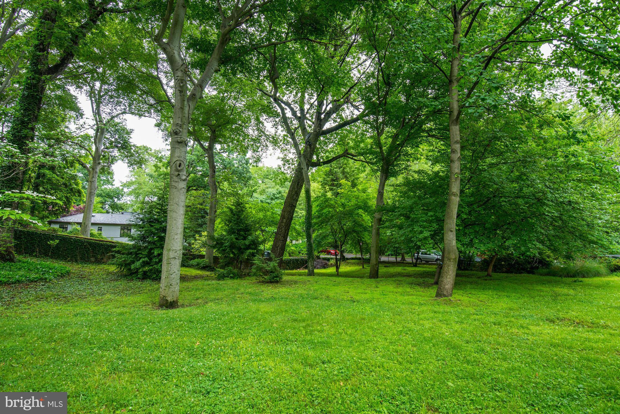FOREST HILLS - Residential