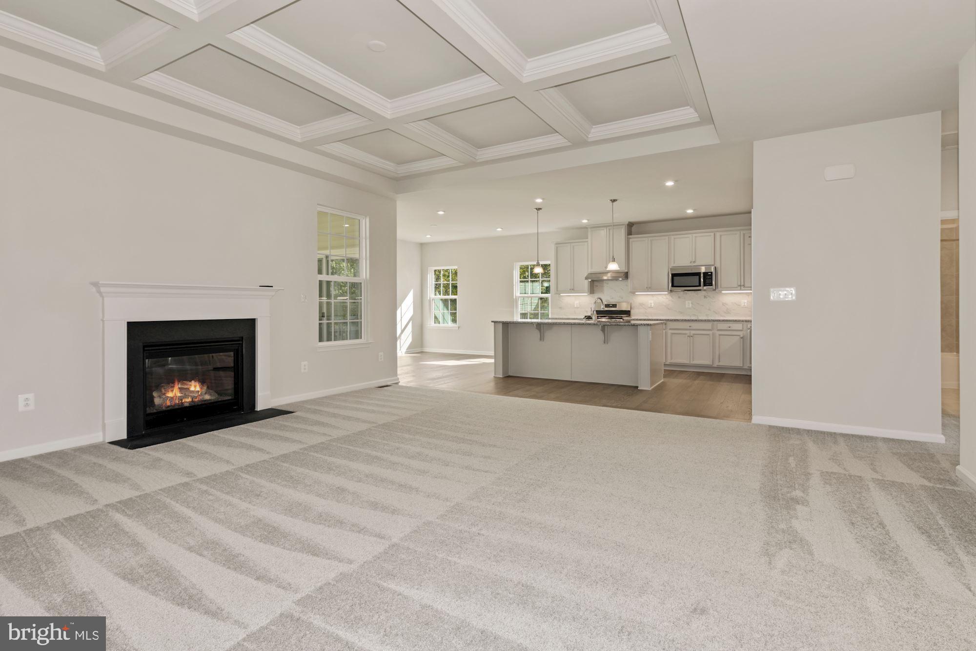 SPRINGETTSBURY TWP - Residential