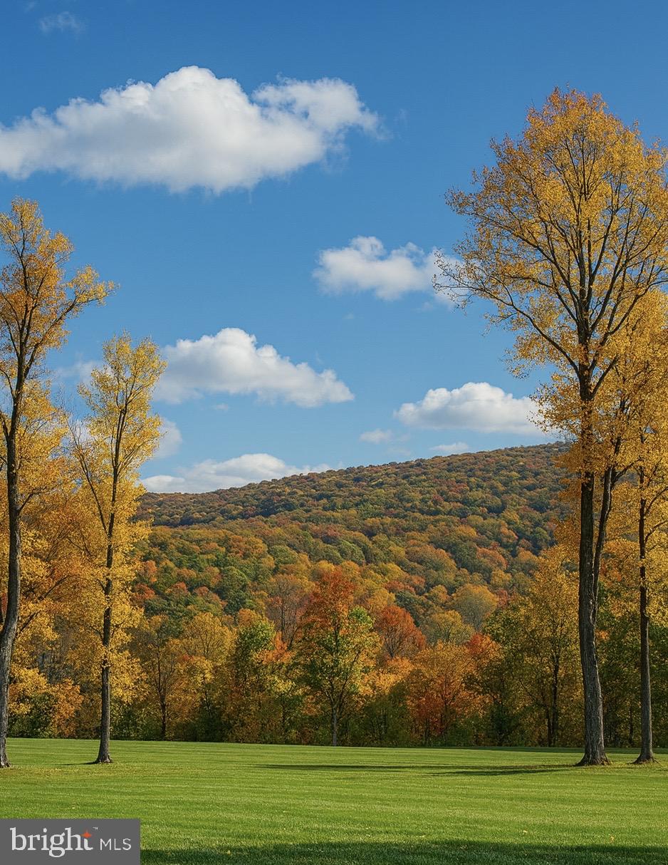 SHENANDOAH FARMS - Residential