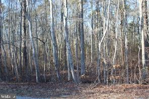 Vacant Land For Sale - 74 Highland Drive<br/> BARNEGAT, NJ 08005