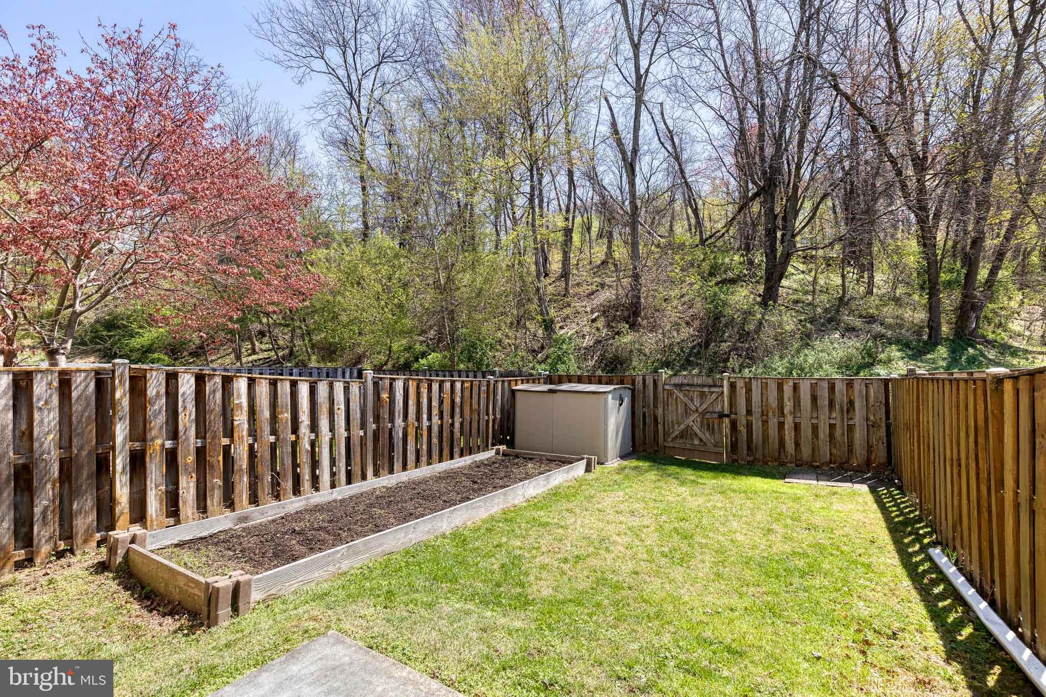 CARLTON SQUARE - Residential