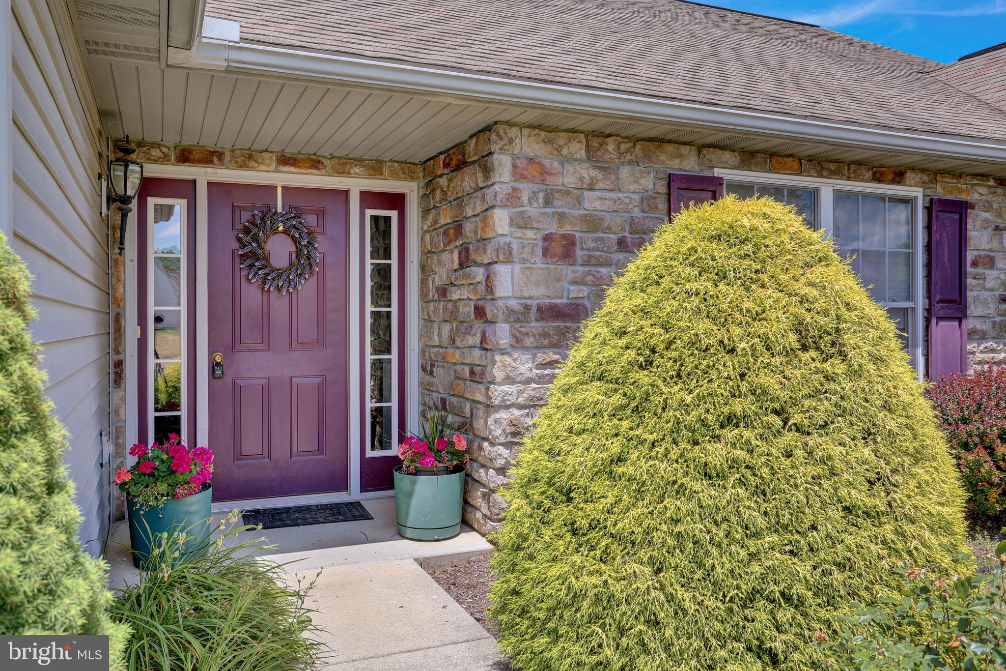 LILYFIELD - Residential