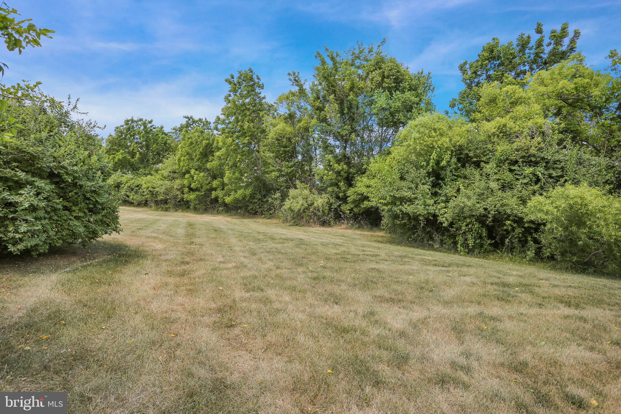 LILYFIELD - Residential