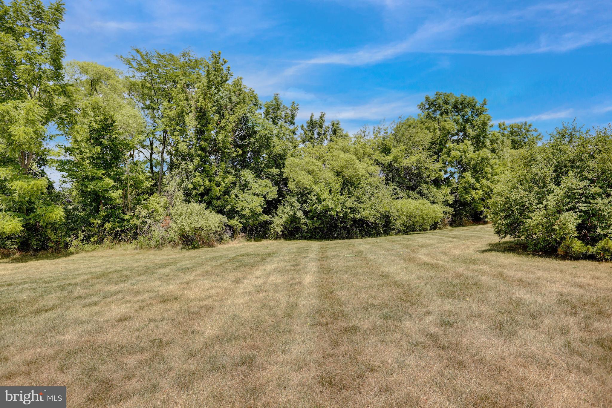 LILYFIELD - Residential