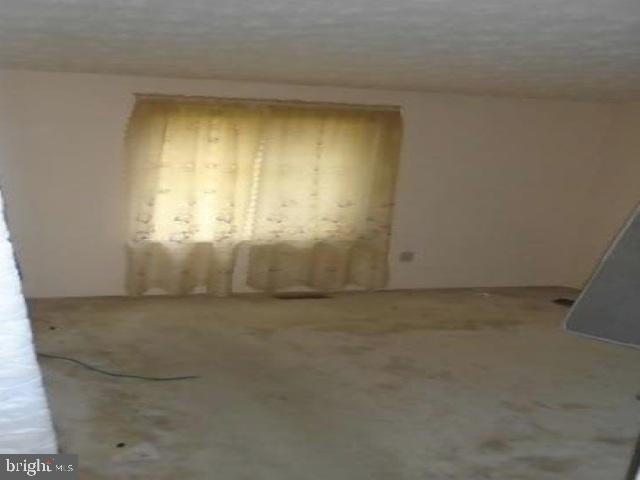 501 PACER DRIVE