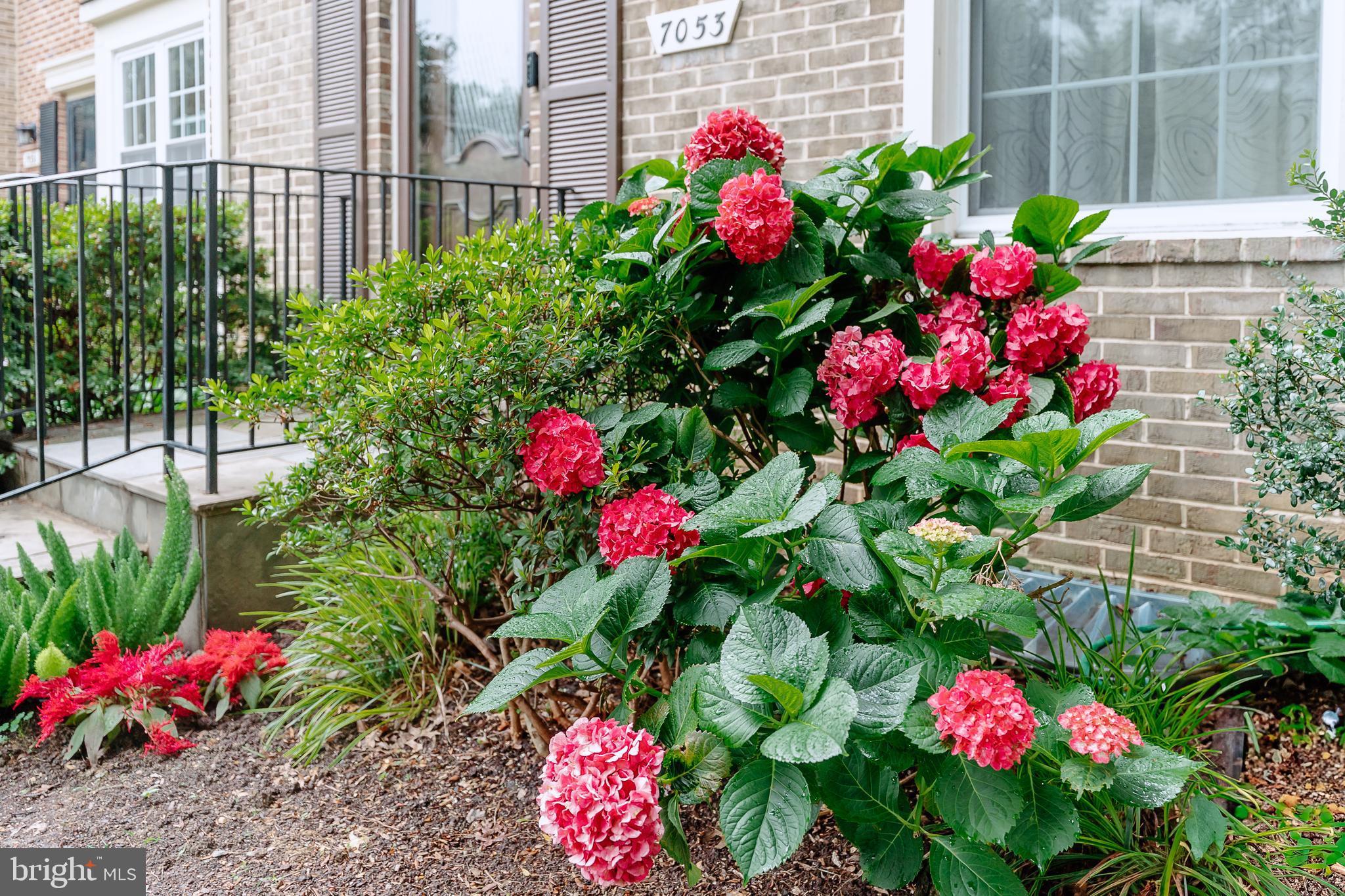 7053 LEEWOOD FOREST DRIVE