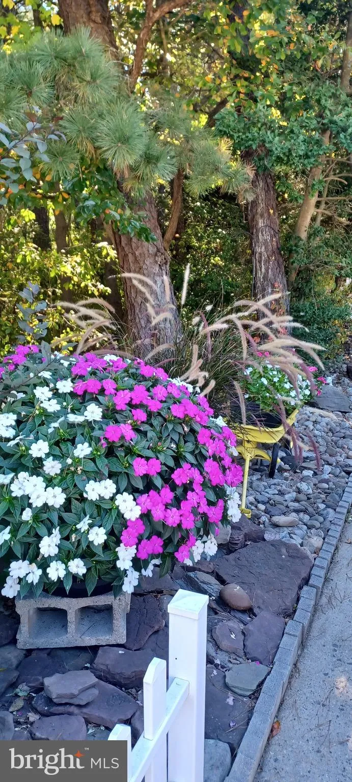 Sicklerville, New Jersey 08081, United States, 2 Bedrooms Bedrooms, ,2 BathroomsBathrooms,Residential,Active,217911