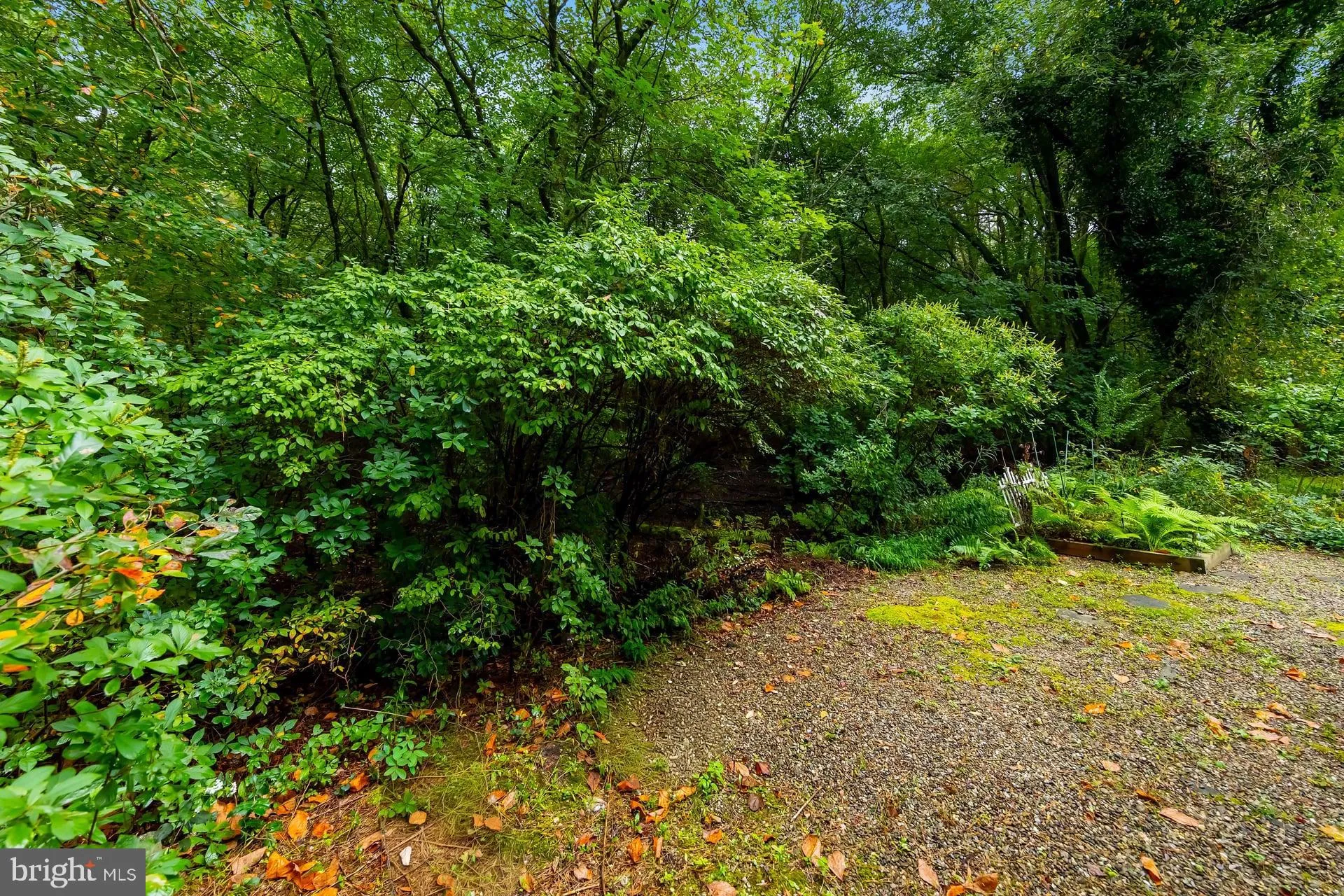 Sicklerville, New Jersey 08081, United States, 2 Bedrooms Bedrooms, ,2 BathroomsBathrooms,Residential,Active,217911