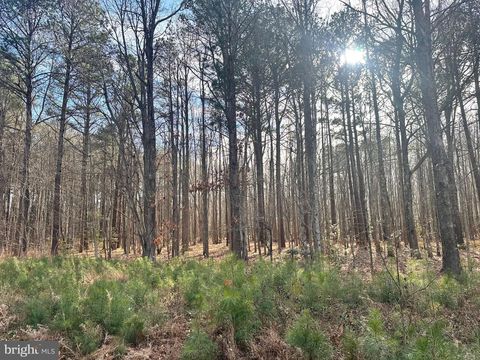Vacant Land For Sale - 78 Cubitt Creek Road<br/> HEATHSVILLE, VA 22473