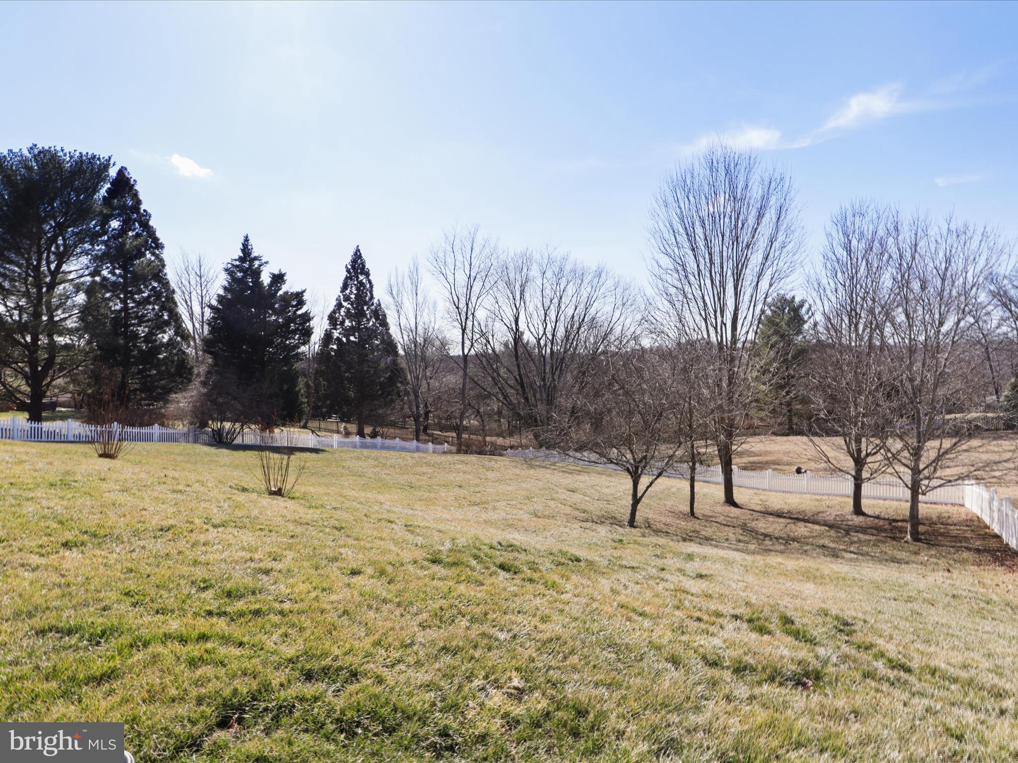 WOLFTRAP MEADOWS - Residential