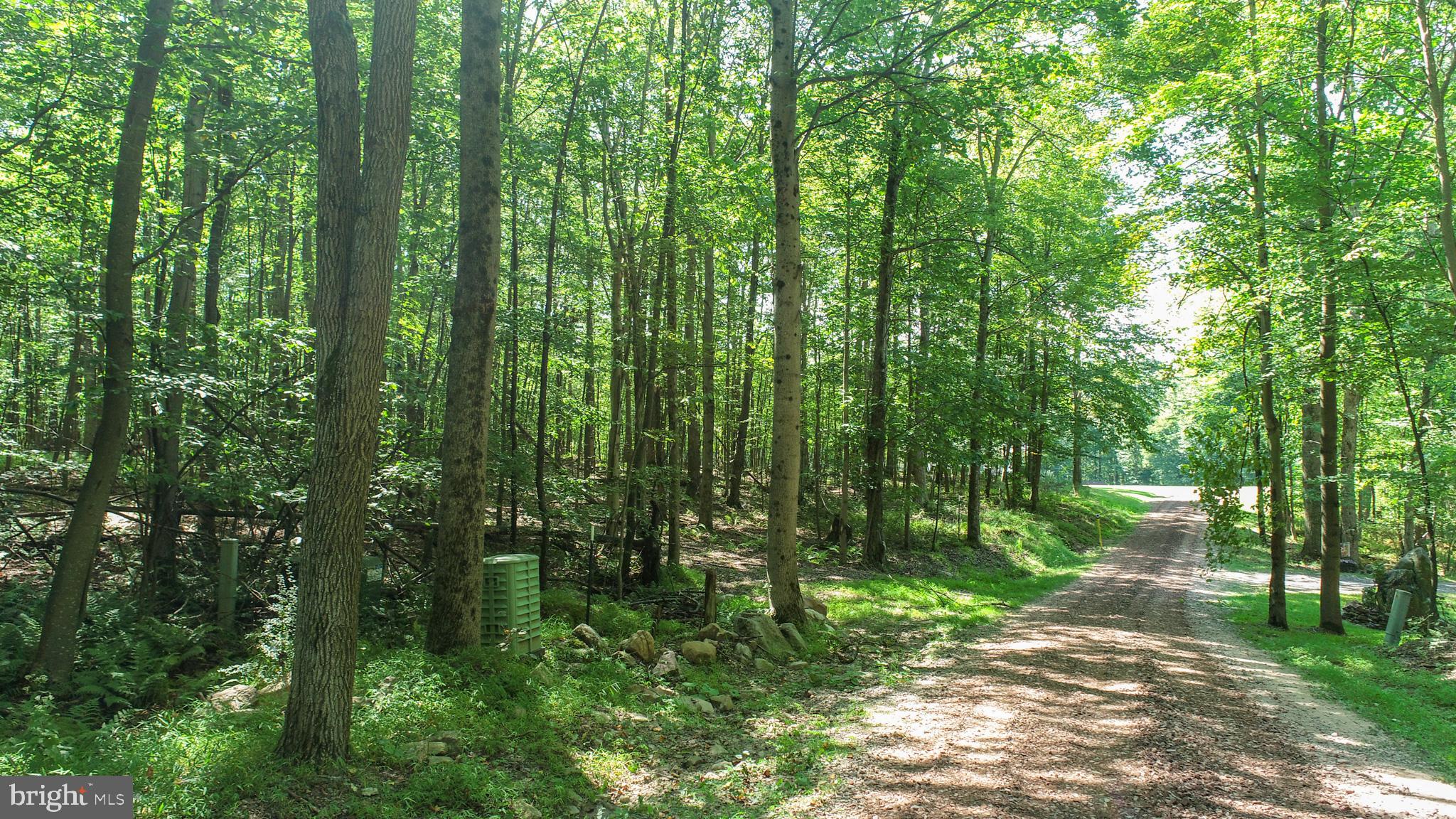 WINDING RIDGE - Land